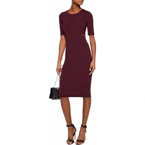 alexander wang burgundy dress Valina